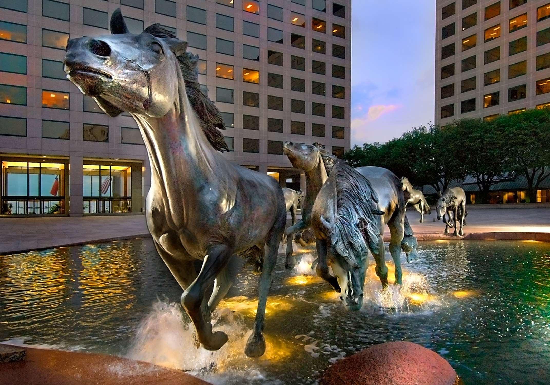 Hilton Garden Inn Dfw Airport South Ирвинг Экстерьер фото